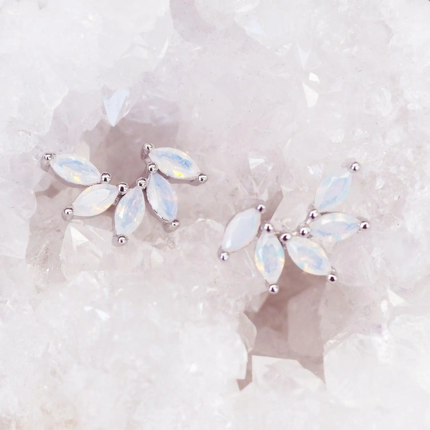 Dainty Petal Studs